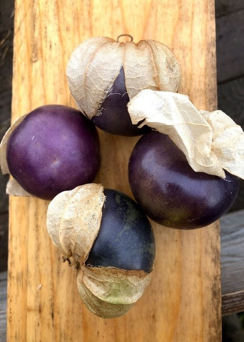 Tomatillo Purple Bio