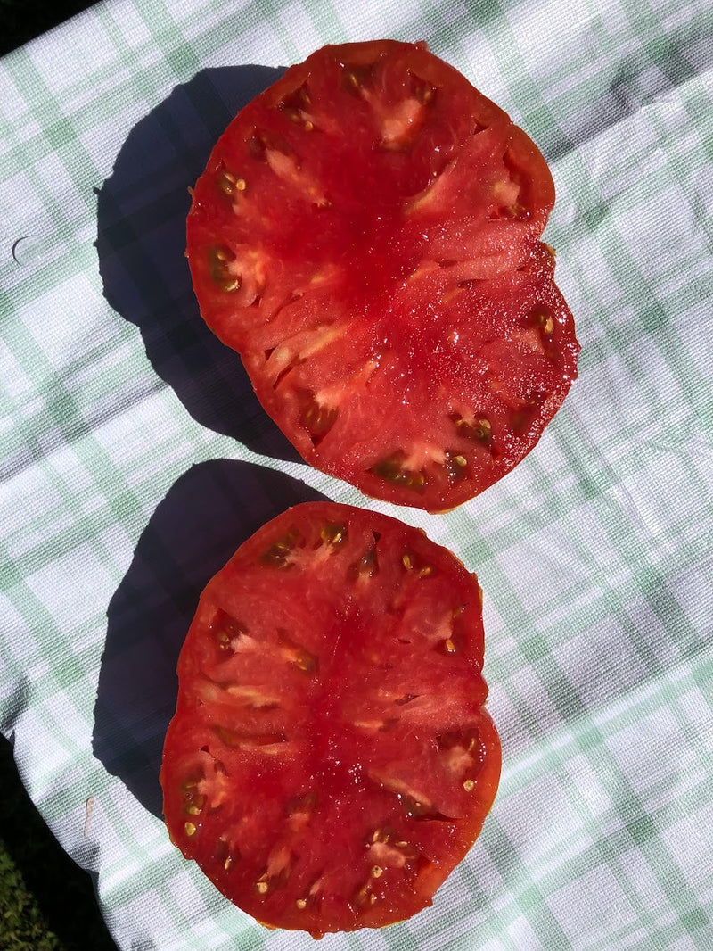 Tomate Coeur de Boeuf Bio