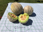 Melon de Montréal Bio