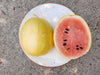 Melon d'Eau Golden Midget